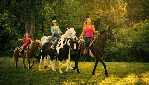 идеи для семейной фотосессии летом на коне