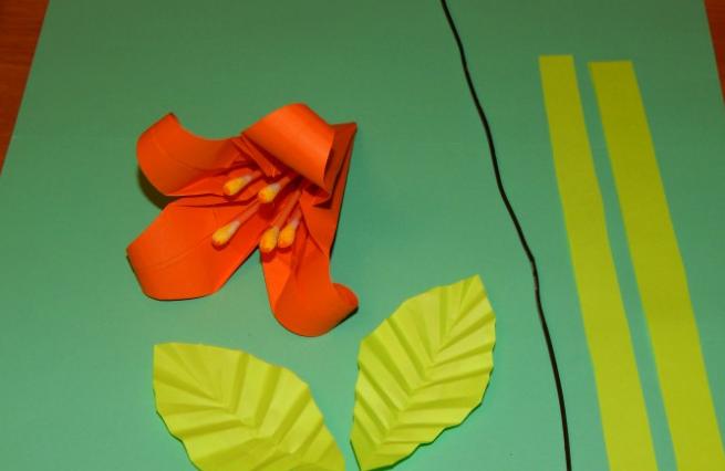 Бумажные цветы - формы и шаблоны для изготовления бумажных цветов шаг 123