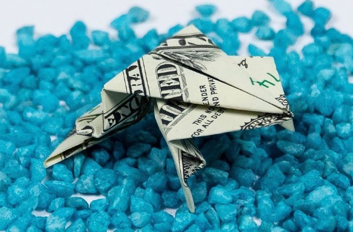 Лягушка оригами из денег
