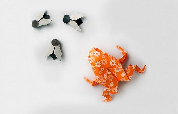 Надувная жаба оригами и муха оригами