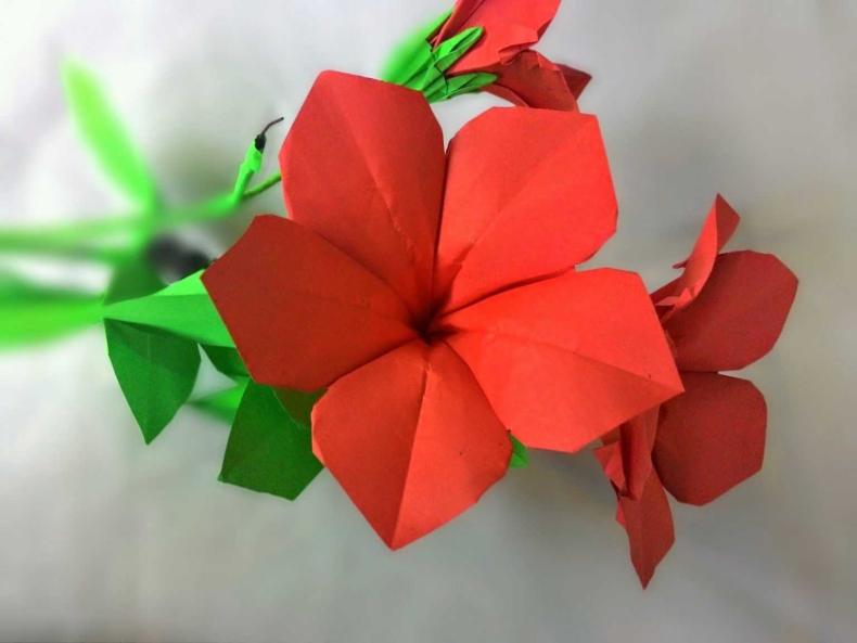 czvety-origami-iz-paper-48.jpg